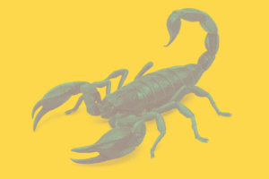 Avoid the sting in the tail – Exit Fees