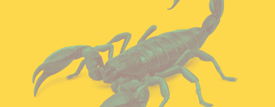 Avoid the sting in the tail – Exit Fees